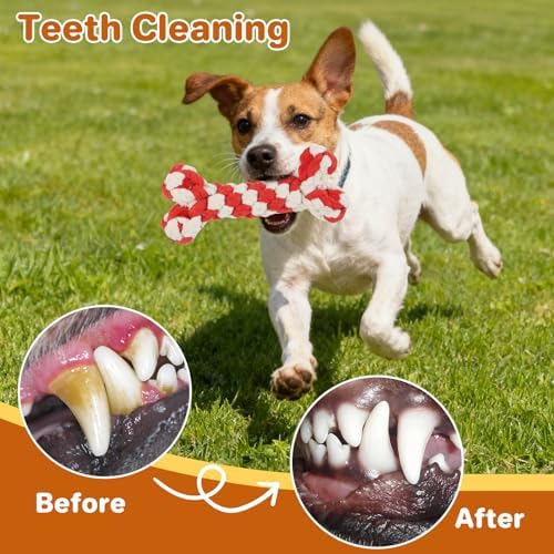 3 Pack Cotton Rope Dog Toy Set, Indestructible Chew Toys for Aggressive Chewers, Puppy Teething Toys with Bone, Human & Rope Dog Ball Designs for Boredom Relief & Tug of War， Red-White