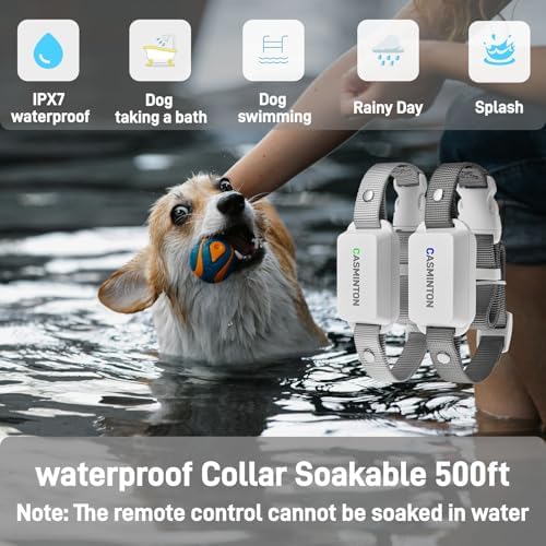 Shock Collar for 2Dogs [CRS01Pro]126 Training Levels, 4 Powerful Modes With 2.8-inch LCD high-definition display100% Safe Training Collar for Large Medium Small Dogs IPX7 Waterproof E Collar