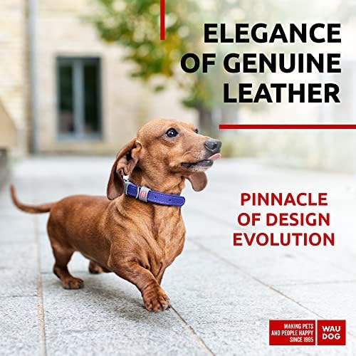 WAUDOG Long Lasting Leather Dog Collar for Large Dogs, Medium & Small Dogs - Adjustable Classic Puppy Collars for Large Breed Dogs - Boy & Girl Dog Collars with Durable Buckle, D-Ring & QR Dog Tag