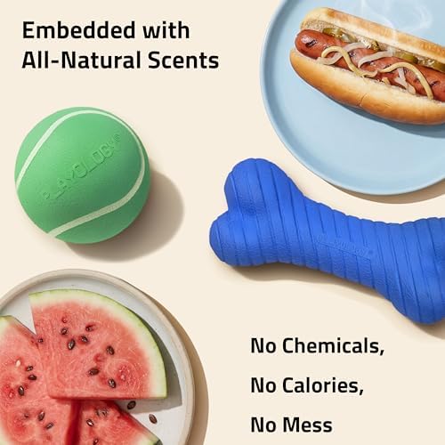 Playology Fun Fetch and Chew Dog Toy Box - Jumbo, Hot Dog/Watermelon Scents