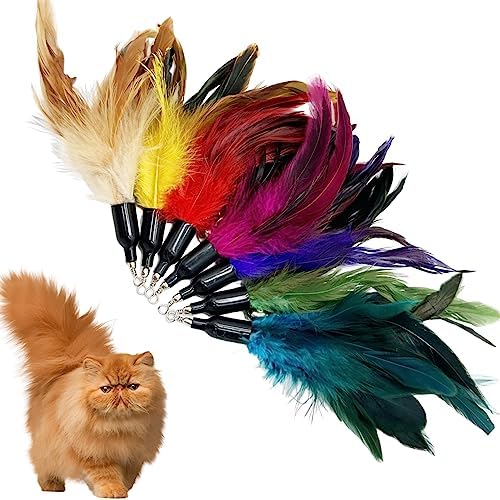 Cat Feather Toys Refill, 16 Pieces Cat Wand Replacement Feathers Toy for Indoor Cats