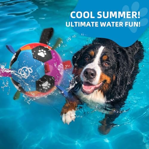 QDAN Large Dog Toys, Big Dog Balls for Aggressive Chewers, Birthday Gifts