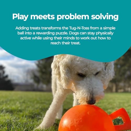 Jolly Pets Tug-n-Toss - Heavy Duty Chew Ball w/ Handle (Orange, 6")