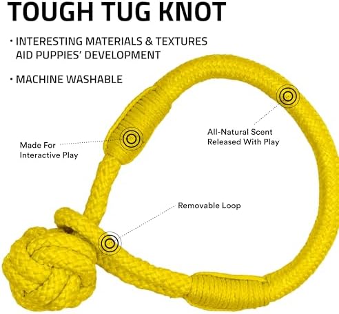 Playology Dog Rope Toy Tug Knot for Puppies - Medium, Chicken Scent