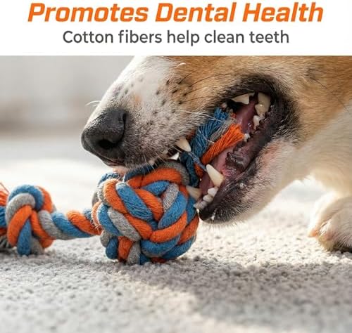 Dog chew Toys for Aggressive chewers, Durable Carrot Dog Toys, Sturdy Tooth Cleaning Dog Toys for Medium and Small Dogs, Interactive Dog chew Toys for Boredom Relief and Training