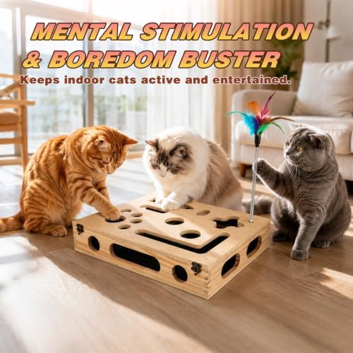 Cat Scratch Puzzle Enrichment Box, Interactive Cat Toy for 3 Balls & 2 Wand
