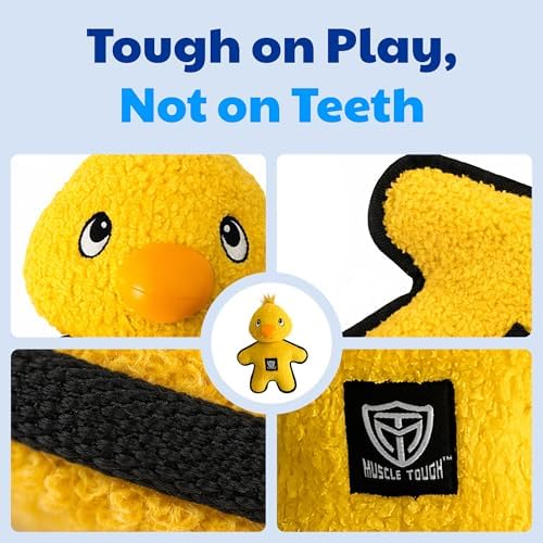 American Kennel Club Plush Dog Toy with Squeaker for Moderate Chewers, Soft Stuffed Dog Toy for Tugging, Fetch & Interactive Play, Gentle on Teeth