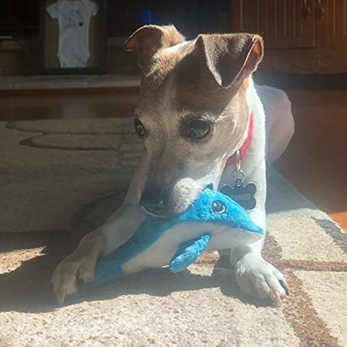 SmartPetLove Snuggle Puppy Tender-Tuffs Small Dog Toy, Plush Dolphin