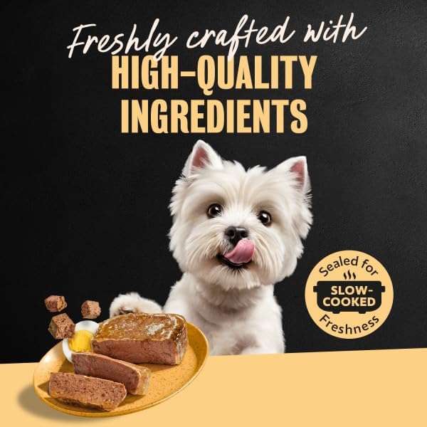Cesar Breakfast & Dinner Variety Pack Wet Dog Food, 3.5 oz, 24 Count | Real meat #1 ingredient, no fillers, no added sugar or artificial flavors, slow-cooked, easy to digest, easy peel trays
