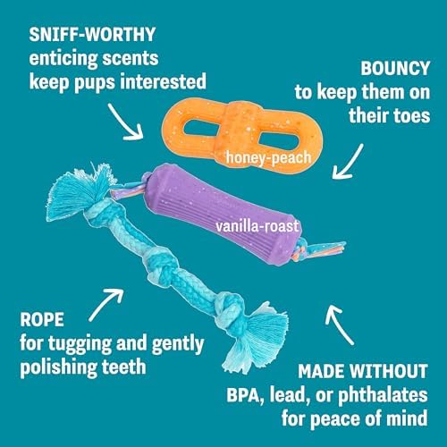 Flex-Force Chew Dog Toys, Multiple Textures & Scents for Sensory Play, Moderate Chewers, Teething Puppies and Small Breeds up to 25 lbs, 3-Pack, 7.7"