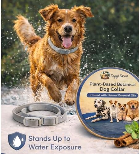 Natural Flea Collar Dogs 8 Mo. 2 Pack Plant Based Waterproof Adjusts.