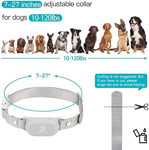 Bousnic Dog Shock Collar with Remote - for Dog 10-120lbs 1000ft Waterproof Rechargeable e Dog Training Collar for Small Medium Large Breed Dog with Beep/Vibrate/Safe Shock & Indicator Light