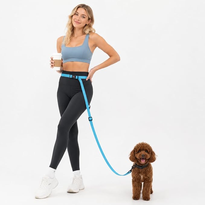 Kazazoo Hands-Free Dog Leash Adjustable Length 5-8 Ft Crossbody &Waist for Dog Walking, Running for Small &Medium Dogs with Reflective Strips, Ballistic Nylon, Waist Belt, Sky Blue