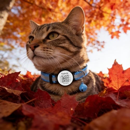 Upgraded Version - Reflective Cat Collar with Bell, Solid & Safe Collars for Cats, Nylon, Mixed Colors, Pet Collar, Breakaway Cat Collar Charms, Fits Most Cats (Blue)