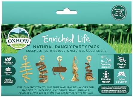 Oxbow Natural Dangly Party Pack, Rabbit & Guinea Pig Toys, Enrichment