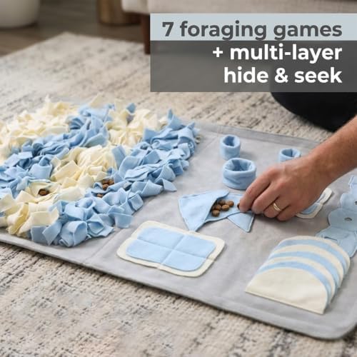 Snuffle Mat for Dogs: Slow Food Interactive Experience