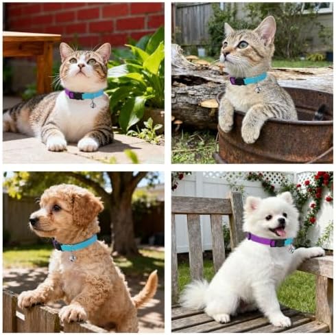 Turquoise Blue Purple Gradient Easy to Wear Dog Collar 2 Pack Collar for Cats