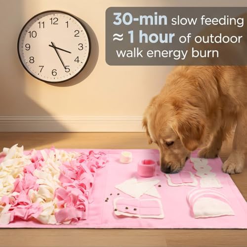 Snuffle Mat for Dogs: Slow Food Interactive Experience