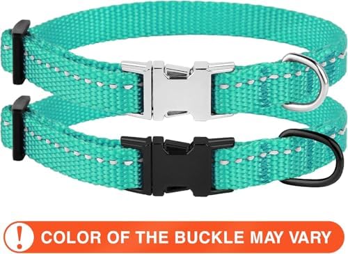 Reflective Dog Collar, Quick-Release Buckle (Mint Green, 7-11 Inch)