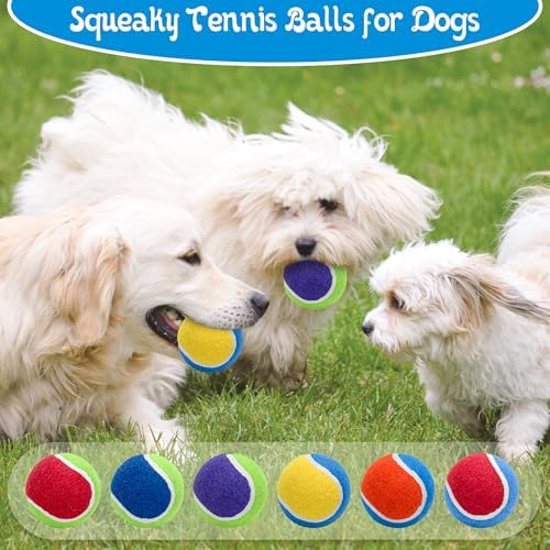 Squeaky Tennis Balls for Dogs - 12 Pack 2.5'' Durable Natural Rubber, Non-Toxic Dog Toy Balls with Mesh Bag for Outdoor Play & Training