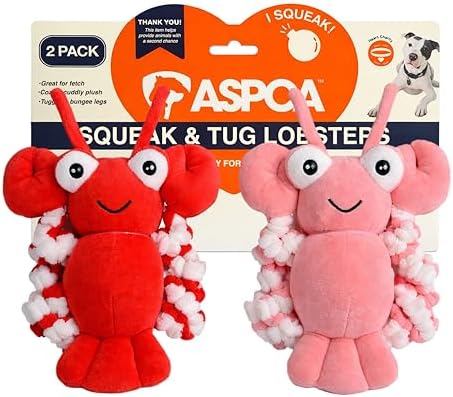 ASPCA 2 Pack Plush Dog Toy with Squeaker for Small & Medium Dogs, Soft Durable Stuffed Pet Toy for Fetch, Tug & Cuddle, Interactive, Lightweight, Engaging Play Toy for Dogs