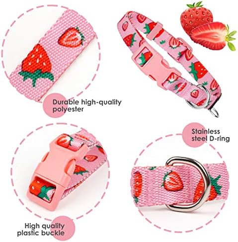 azuza Fruit Dog Collar and Leash Set, Collar Nylon and Matching Leash, Great Option for Small Medium Large Dogs, Pink, S (Neck: 11"-16")