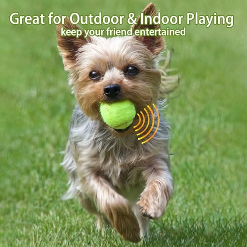 Magicorange Dog Tennis Balls, 20 Pack 2.5 inch Squeaky Tennis Balls