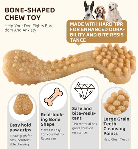 Durable Dog Chew Toy for Aggressive Chewers, Tough Dental Toy for Teeth Cleaning, Boredom & Anxiety Relief, Long-Lasting Toy for All Dog Sizes & Teething Puppies, Keep Them Busy