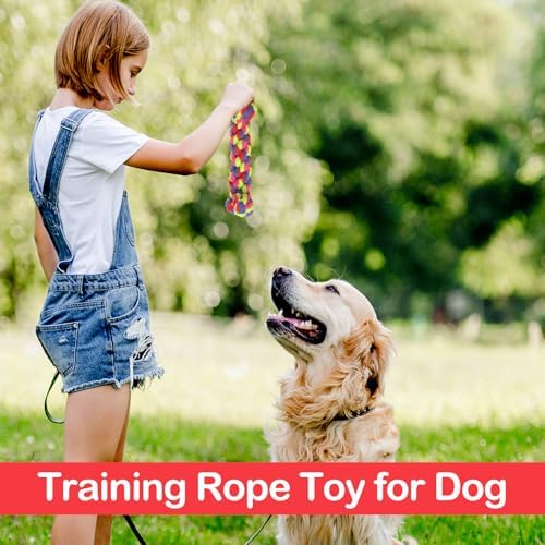 18 Pcs Dog Rope Toys Set Interactive Cotton Chew Toys for Aggressive Chewers 3 Knots Rope Balls for Medium Small Dog Puppy Tug of War Pet Teeth Cleaning Fun Training Birthday Gifts