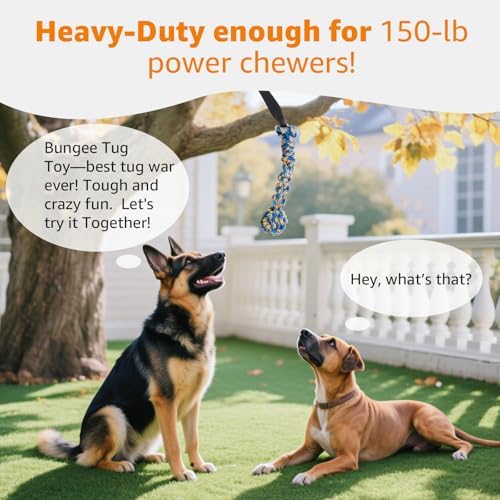 LOOBANI Outdoor Bungee Tug Toy, Interactive Tree Hanging Dog Toys, Black