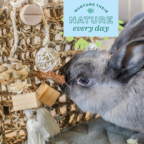 Oxbow Play Wall, Rabbit & Guinea Pig Toys, Guinea Pig Accessories, Small