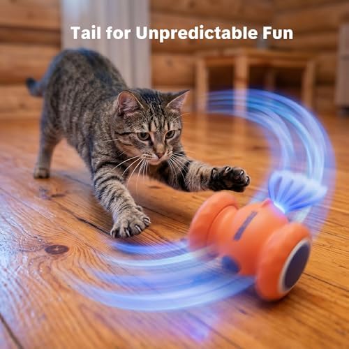 Interactive Cat Toys, Puppy Dog Toys