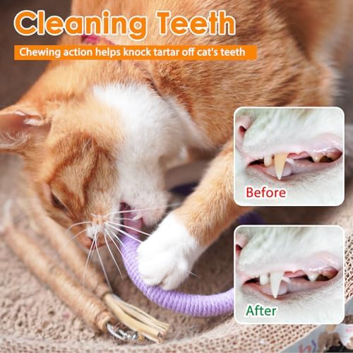 Tocirelo Cat Chew Rope Toy, Cotton Cat Chew Toy for Teeth Cleaning 6Pack