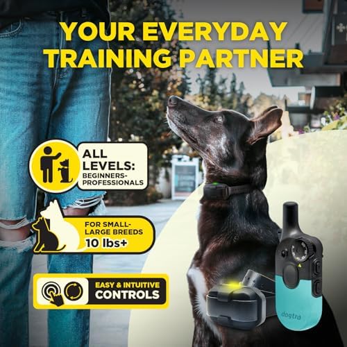 Dogtra 200iQ Remote Training E Collar – 100 Levels, Tone, Vibration, 1/2 Mile Range – Compact, Waterproof, One-Handed Control for Dogs 10 lbs+ – Lightweight Daily Training – Slip Resistant Teal