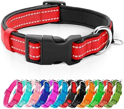 azuza Reflective Dog Collar, Neoprene Padded Puppy Collar, Red, XS