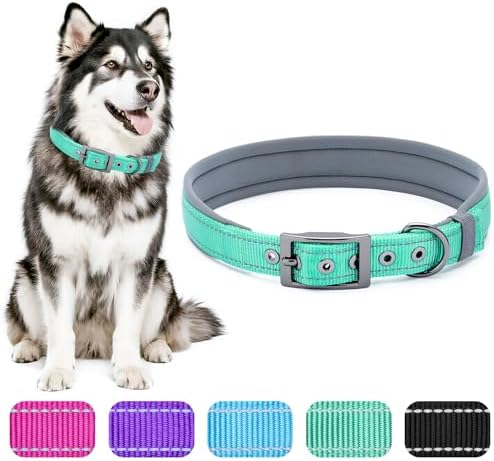 Segarty Reflective Green Dog Collar, Adjustable Wide Soft Comfortable Breathable Neoprene Padded Nylon Collar with Heavy Duty Metal Buckle for Extra Large Breeds (XL, Green)