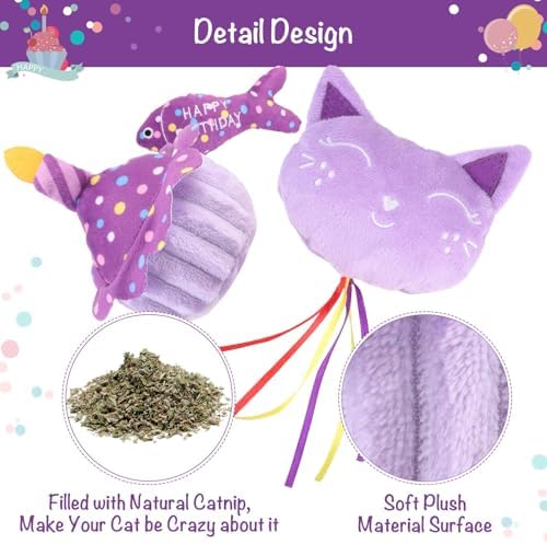 BINGPET Cat Birthday Decorations Outfit, 5 Pcs Catnip Toys for Indoor Cats