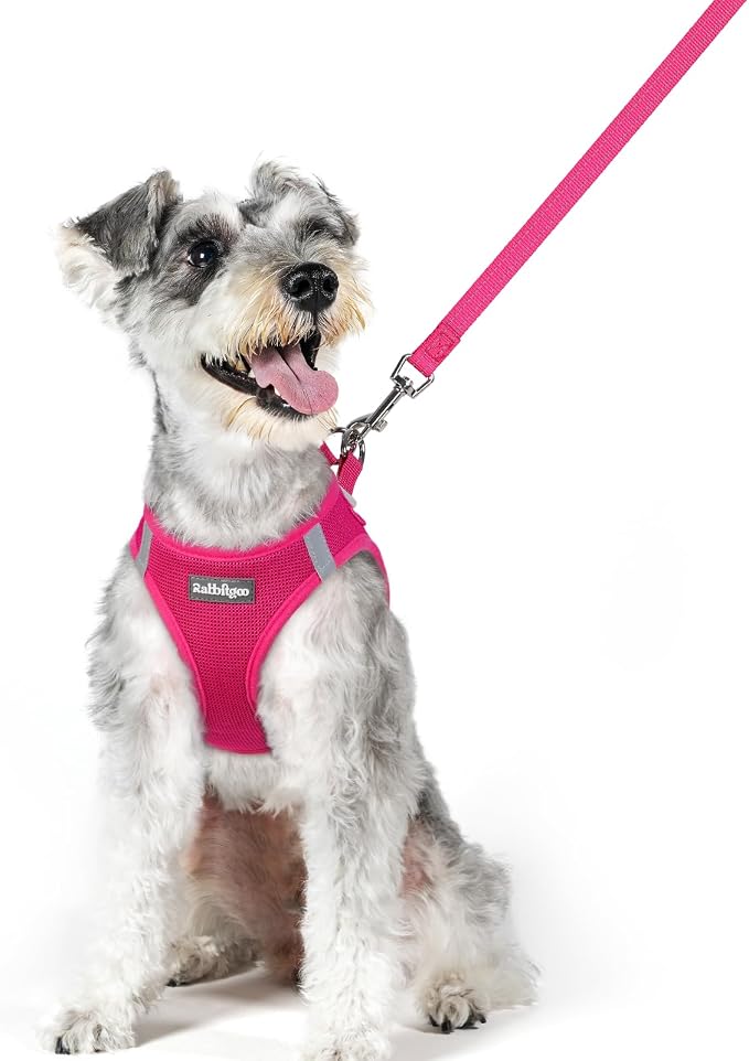 rabbitgoo Dog Harness Medium Sized and Leash Set, Step-in Puppy Pet Vest | Light, Soft, Breathable Air Mesh, Easy on and Remove with Hook & Loop, Secure Reflective for Walking, Rose Red XL