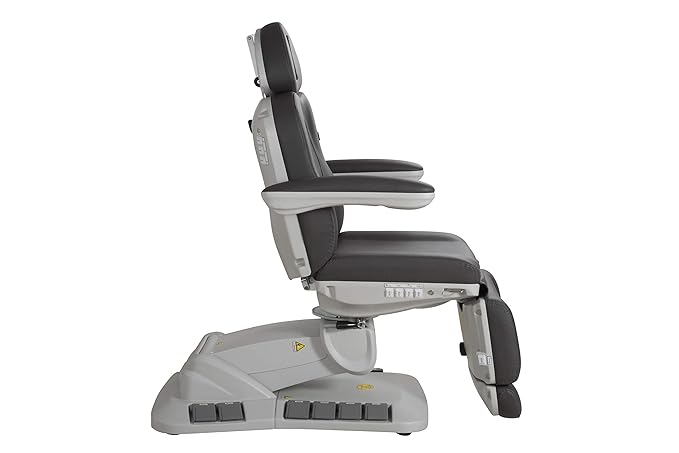 Silver Fox - Facial Chair for Esthetician, Electric Spa Treatment Chair with 4 Motors, Professional Beauty Bed, Adjustable Salon Treatment Table with 240° Rotation - 2246EB, Gray