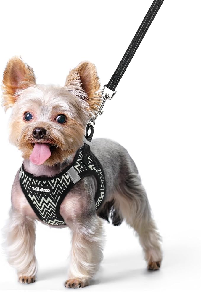 rabbitgoo Dog Harness Small Sized and Leash Set, Step-in Puppy Pet Vest | Light, Soft, Breathable Air Mesh, Easy on and Remove with Hook & Loop, Secure Reflective for Walking, Black Zigzag XS