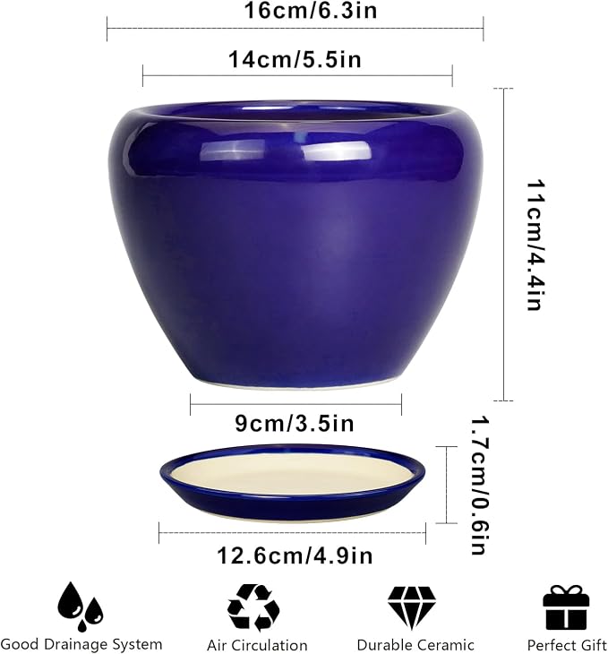 Ceramicfor 6 Inch Plant Pot - Ceramic Pots for Plants Succulent Pot with Drainage Hole and Saucer Round Planter Outdoor Flower Pot for Herb Snake Plants Blue