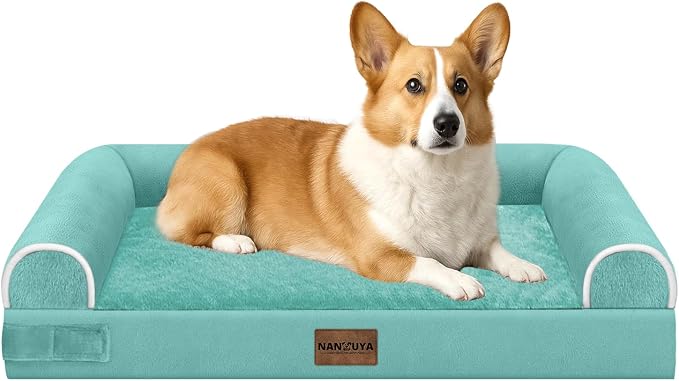 Orthopedic Dog Bed for Medium Dogs, 30 x 20 Inch, Aqua Blue | Egg crate foam for joint support, 3-sided bolster pet sofa, waterproof lining, washable cover, and non-skid base