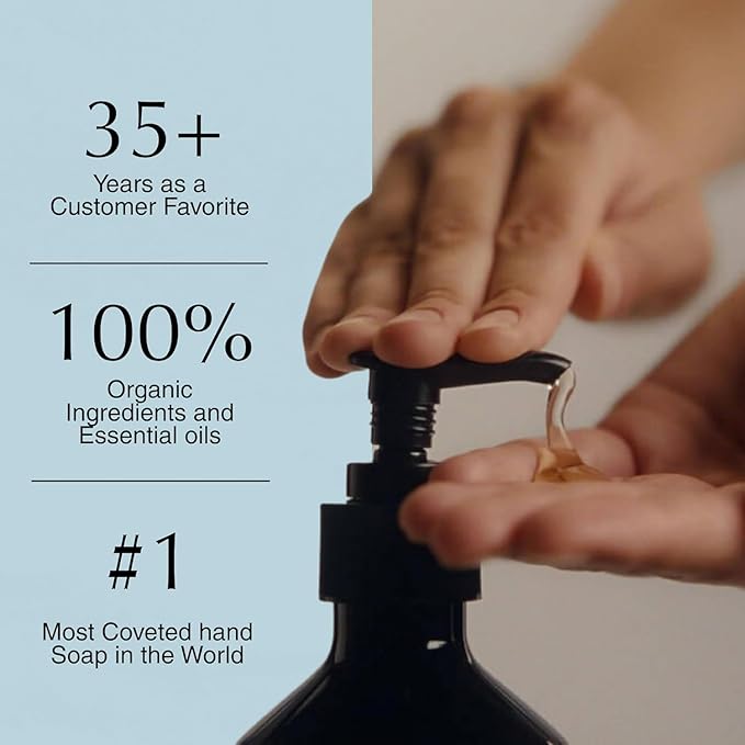 Aesop Reverence Aromatique Hand Wash Refill | Cleanse and Exfoliate the Hands | With Botanical Extracts And Finely Milled Pumice | 16.9 oz.