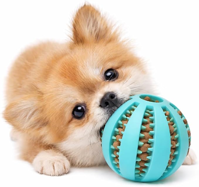 Dog Treat Ball for Small Dogs – Interactive Chew Toy, Teeth Cleaning & Mental Stimulation, Durable Rubber Treat Dispensing Toy