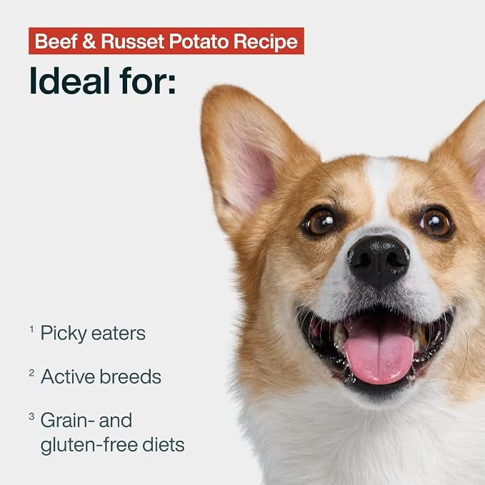 JustFoodForDogs Pantry Fresh Wet Dog Food, Complete Meal or Dog Food Topper, Beef & Potato Human Grade Dog Food Recipe - 12.5 oz (Pack of 12) | Fresh Pet Meal or Fresh Dog Food Topper, Human Grade Recipe Made With Whole Foods, Preservative-Free, 12.5 O...