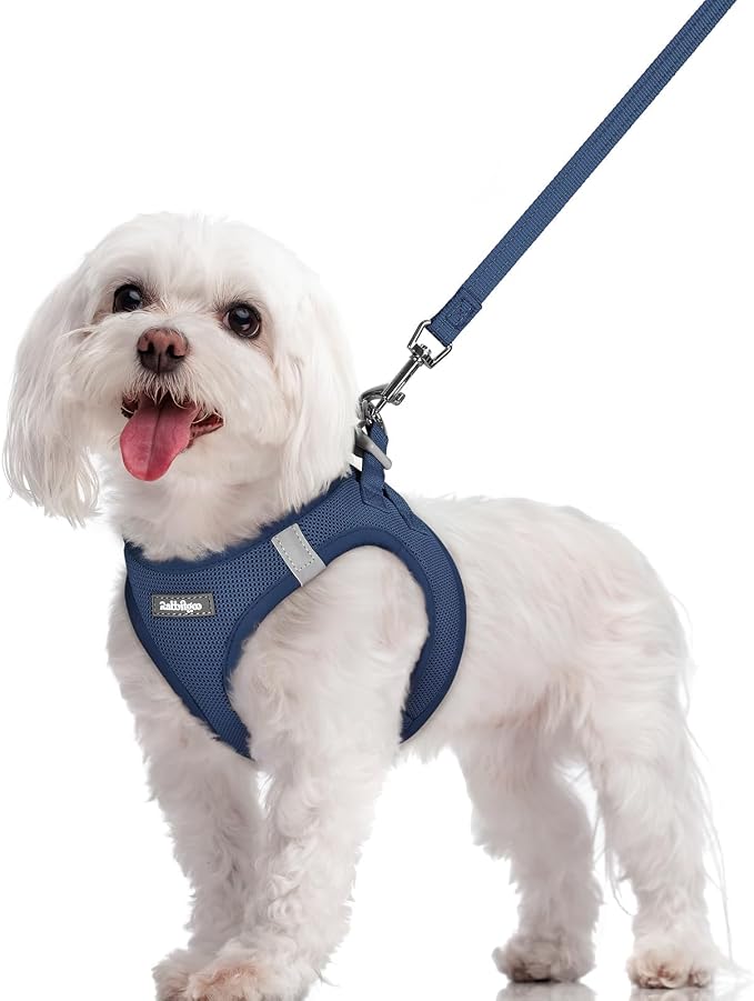 rabbitgoo Dog Harness Small Sized and Leash Set, Step-in Puppy Pet Vest | Light, Soft, Breathable Air Mesh, Easy on and Remove with Hook & Loop, Secure Reflective for Walking, Navy Blue M