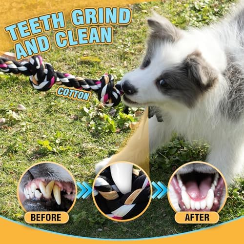Dog Rope Toys for Small-Medium Dogs. 18 Pack for Teeth Cleaning, Chewing, Training Balls and Squeaky Toys. Best for Entertainment, Interaction,Tug of War Indoor and Outdoor.