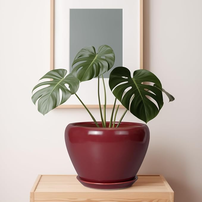 Ceramicfor 10 Inch Plant Pot - Ceramic Planter Pot with Drainage Hole and Saucer Large Planter for Indoor Plants Round Outdoor Flower Pot Mid-Century Decor Red