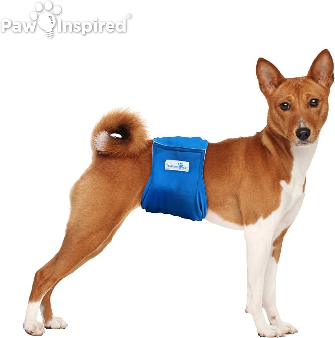 Paw Inspired Washable Male Dog Wraps, Assorted/White Lining, Medium, 3 Pack | M Size, Blue/Green/Brown Colors, Reusable Cloth Belly Bands for Potty Training, Marking, Incontinence, Travel, Surgery