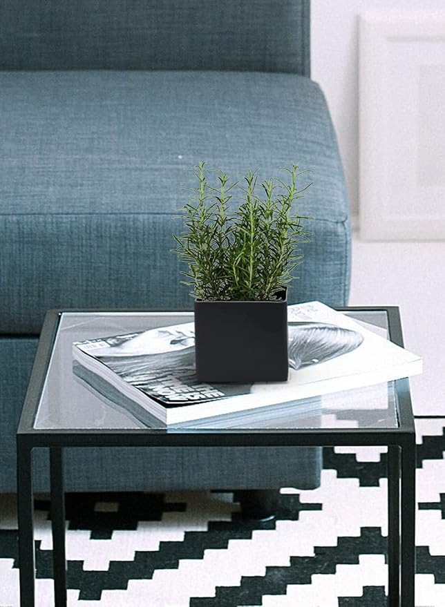 Serene Spaces Living Matte Black Ceramic Vases, Square Decorative Vase for Home Décor, Table Centerpieces, Wedding, Party, Bridal Shower & Event Styling, 5" Tall & 5.75" Cube, Pack of 6